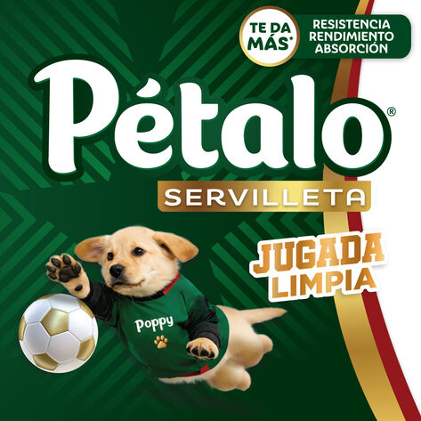 Servilleta Hoja Sencilla Petalo 4 / 450 hojas